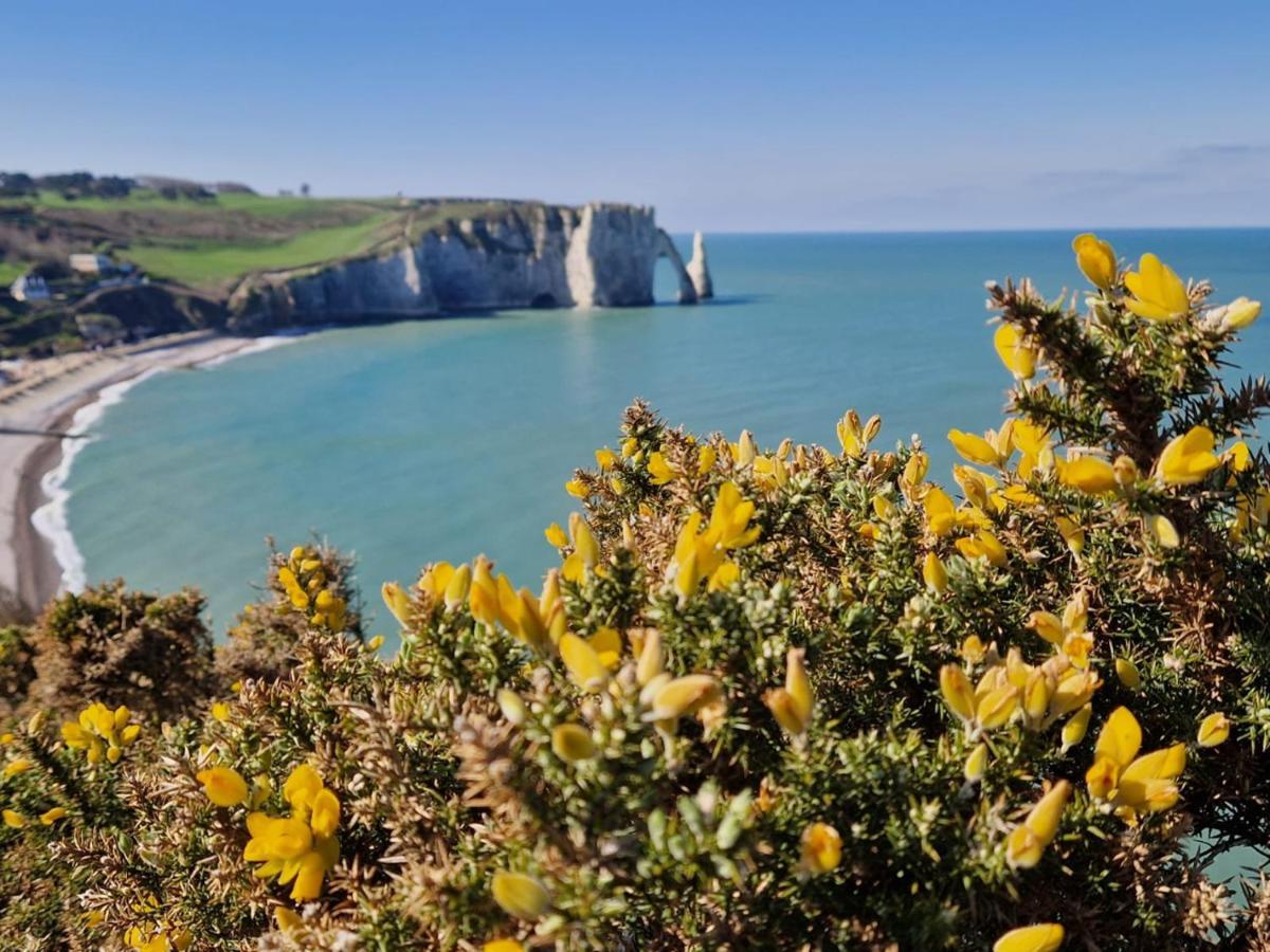 La Flore Marine Saint-Jouin-Bruneval ภายนอก รูปภาพ